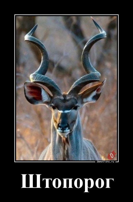 
			Демотиваторы №3787 (20 фото)