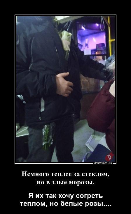 
			Демотиваторы №3787 (20 фото)