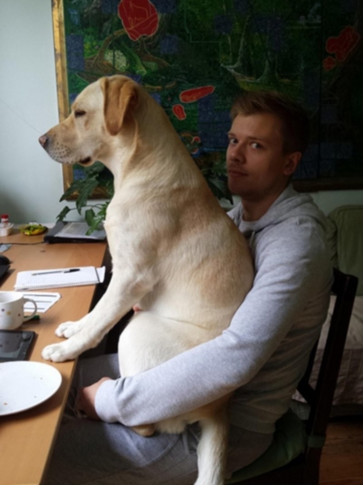 
        20+ питомцев, которые не&nbsp;могут существовать без&nbsp;своего человека    