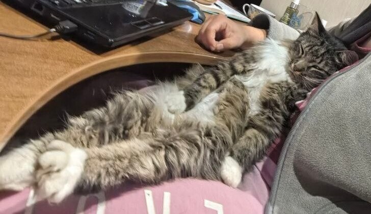 
        24&nbsp;примера милоты, дарящей позитив и&nbsp;чистое тихое счастье    