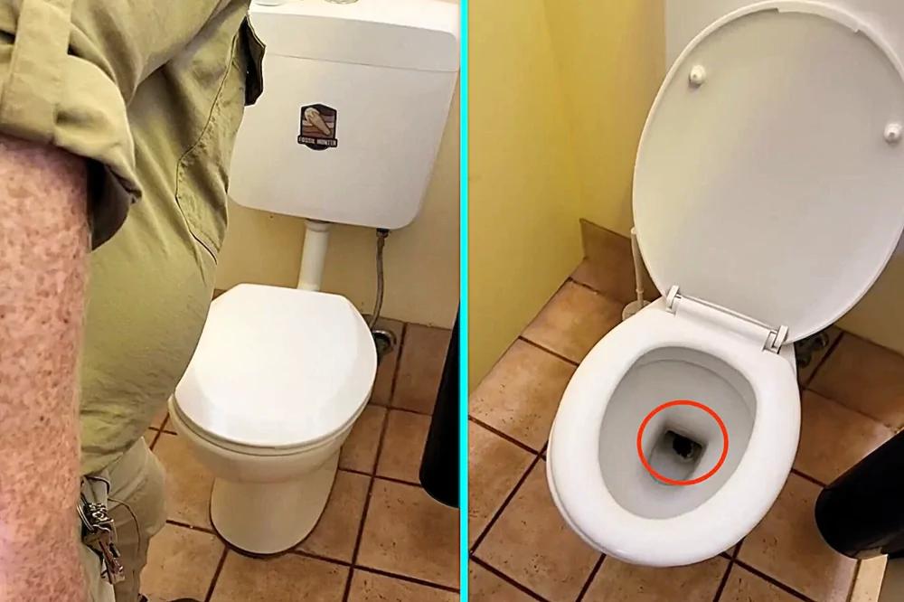 
        В&nbsp;Австралии ковровый питон забрался в&nbsp;унитаз в&nbsp;парке    