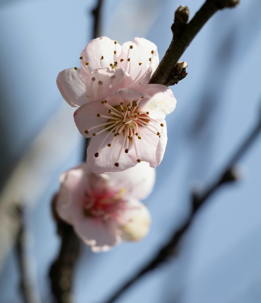 
        30&nbsp;снимков, запечатлевших простую красоту нашего мира    