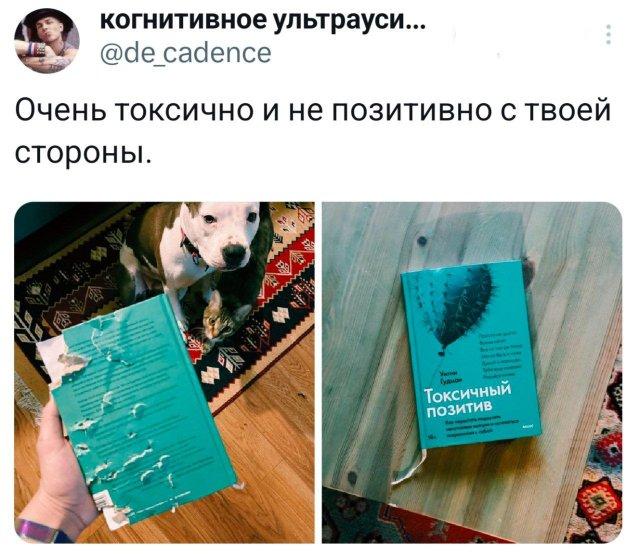 Подборка забавных твитов обо всем Подборка забавных твитов обо всем