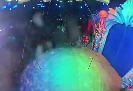 
        Из&nbsp;жизни цирковых акробатов    