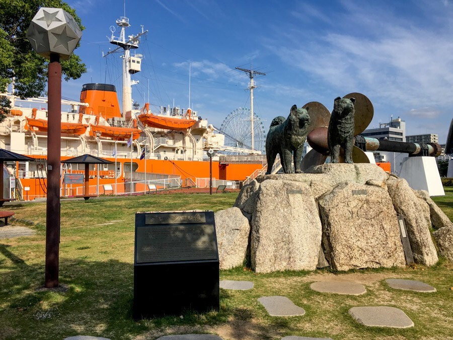 
        Антарктическая одиссея двух хаски: как&nbsp;Таро и&nbsp;Дзиро победили Антарктиду    