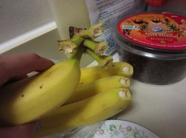 Неприятности случаются (21 фото)