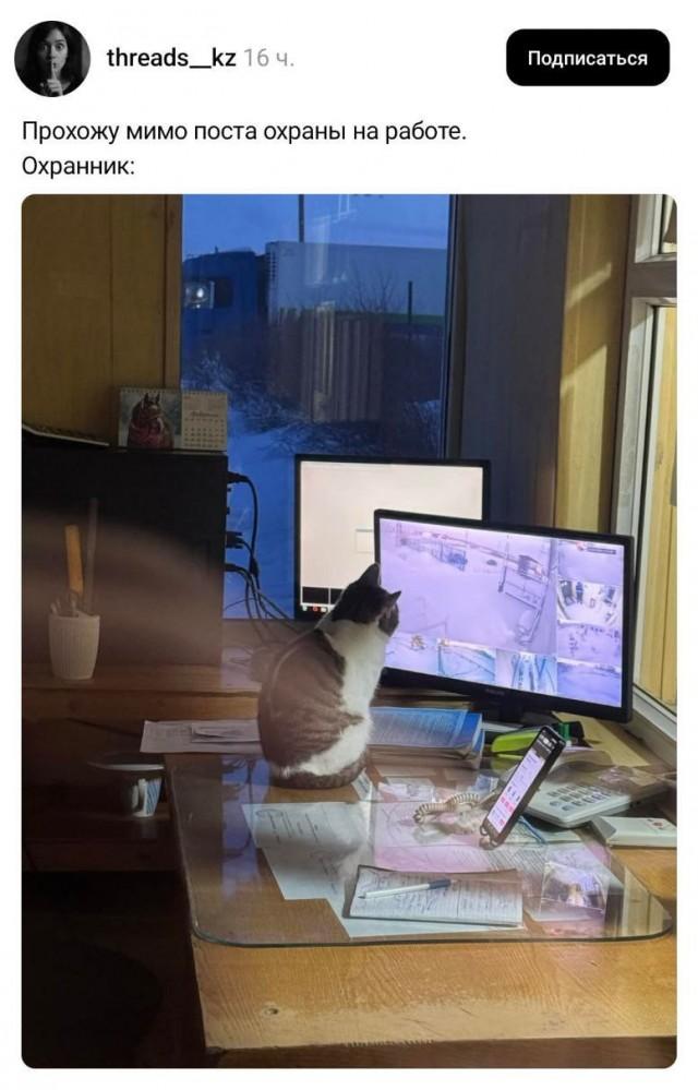 Подборка забавных твитов обо всем