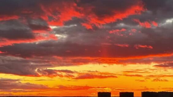 В Москве застройщики лишили девушку вида из квартиры мечты
В Москве застройщики лишили девушку вида из квартиры мечты