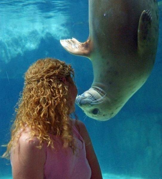 Подборка прикольных фото №3892