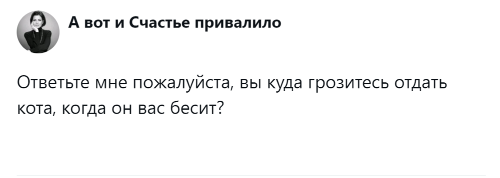 
        &laquo;Цыганам или&nbsp;в&nbsp;кошачий детдом&raquo;: пользователи назвали места, куда грозят отдать кота после переполнения чаши терпения    