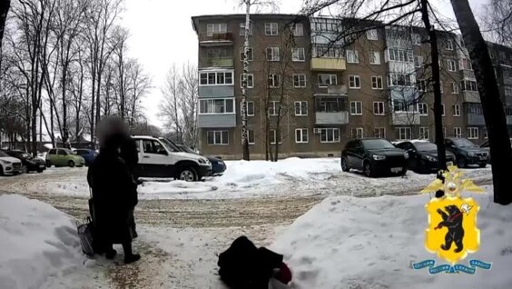 
        Против толкнувшего бабушек парня возбуждено уголовное дело    