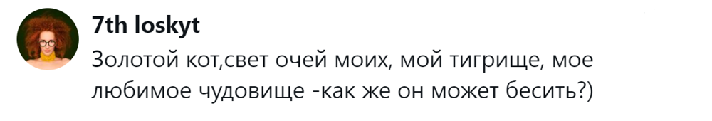 
        &laquo;Цыганам или&nbsp;в&nbsp;кошачий детдом&raquo;: пользователи назвали места, куда грозят отдать кота после переполнения чаши терпения    