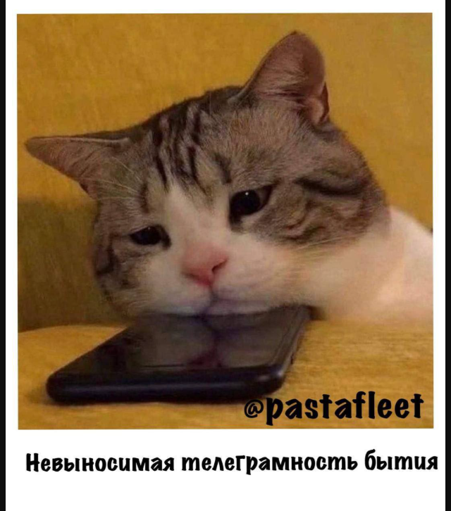 Подборка мемов про блокировку "Телеграма"