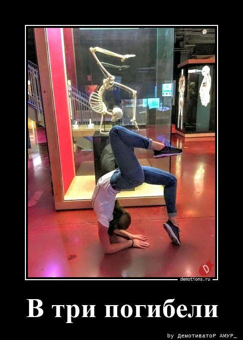 
			Демотиваторы №3785 (18 фото)