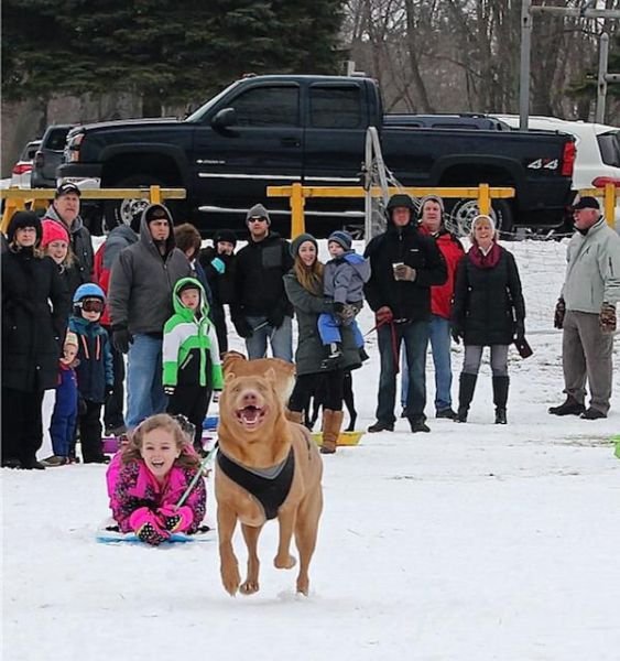 Подборка картинок. Вечерний выпуск - 05.02.2026 (30 фото)