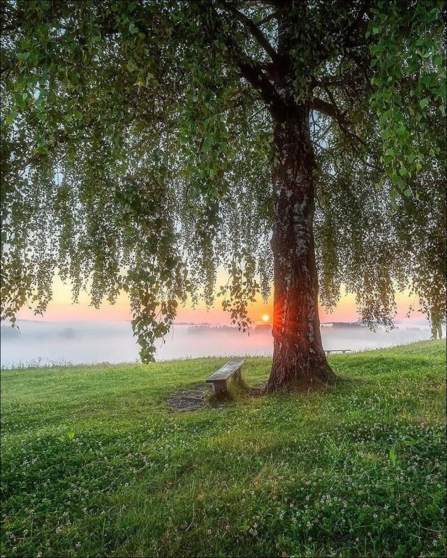 Подборка прикольных фото №3881