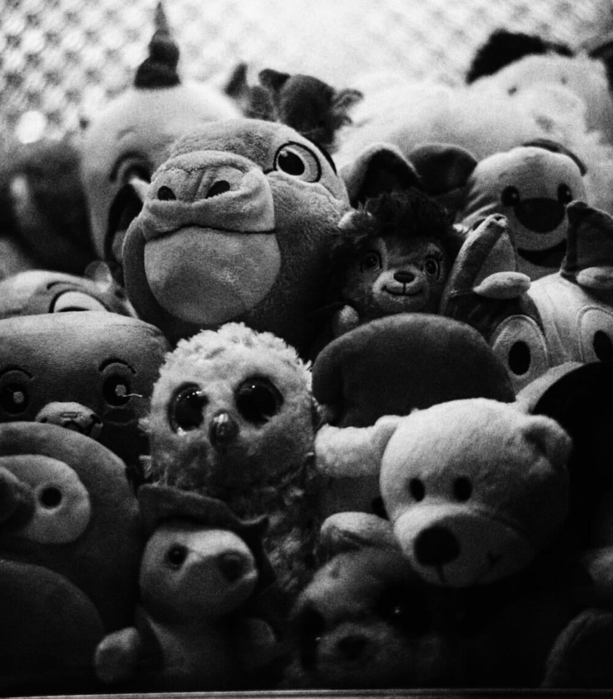 
        30&nbsp;снимков, запечатлевших простую красоту нашего мира    