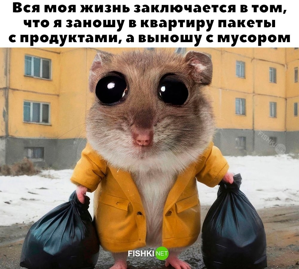 
        У&nbsp;всех так?    