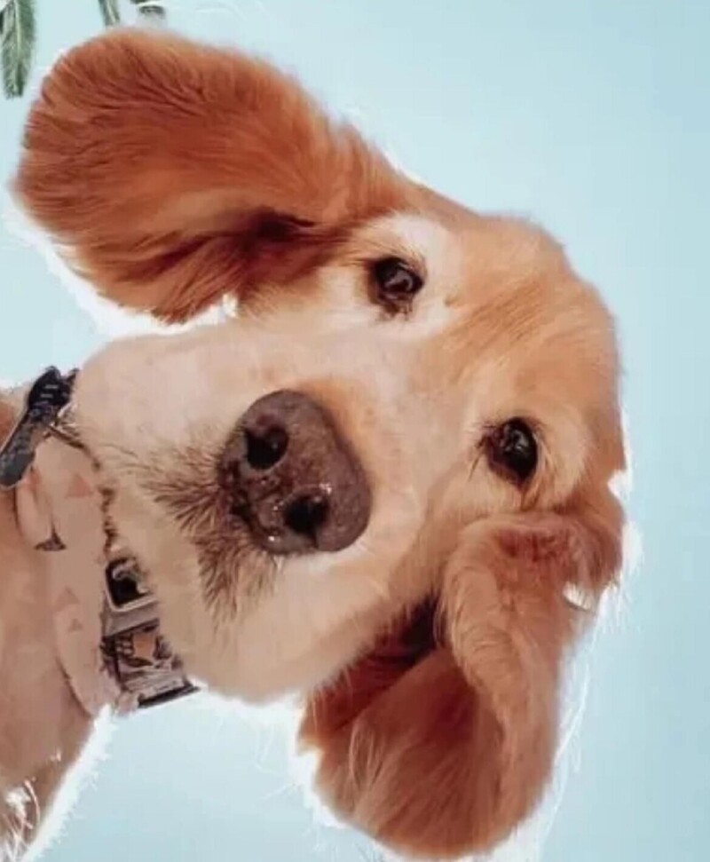 
        25&nbsp;обаятельных симпатяг, селфи которых явно лучше наших    