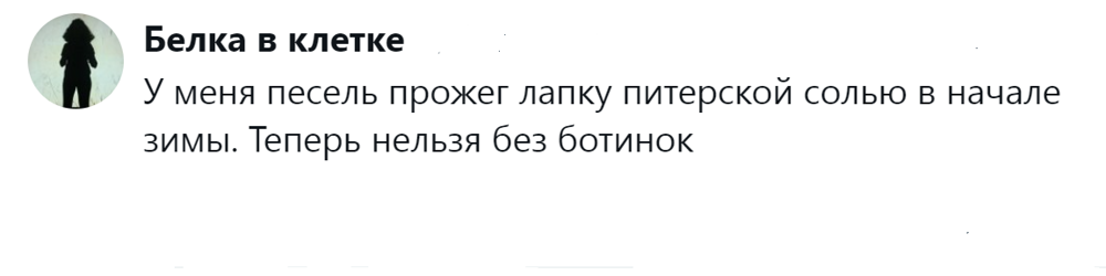 Собачники и не только обсуждают собачий дресс-код, который эволюционировал от свободы к пуховику
Собачники и не только обсуждают собачий дресс-код, который эволюционировал от свободы к пуховику