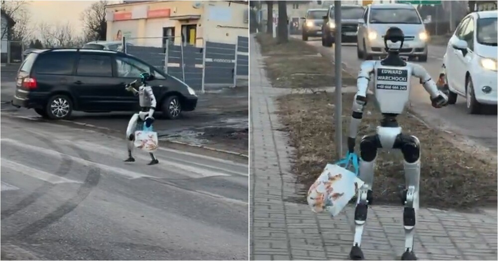 Робота в Польше отправили за пивом
Робота в Польше отправили за пивом