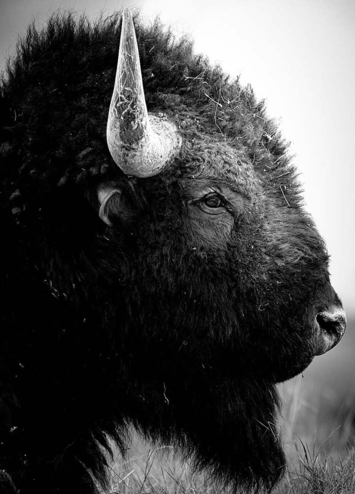 
        30&nbsp;снимков, запечатлевших простую красоту нашего мира    