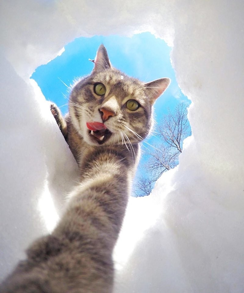 
        25&nbsp;обаятельных симпатяг, селфи которых явно лучше наших    