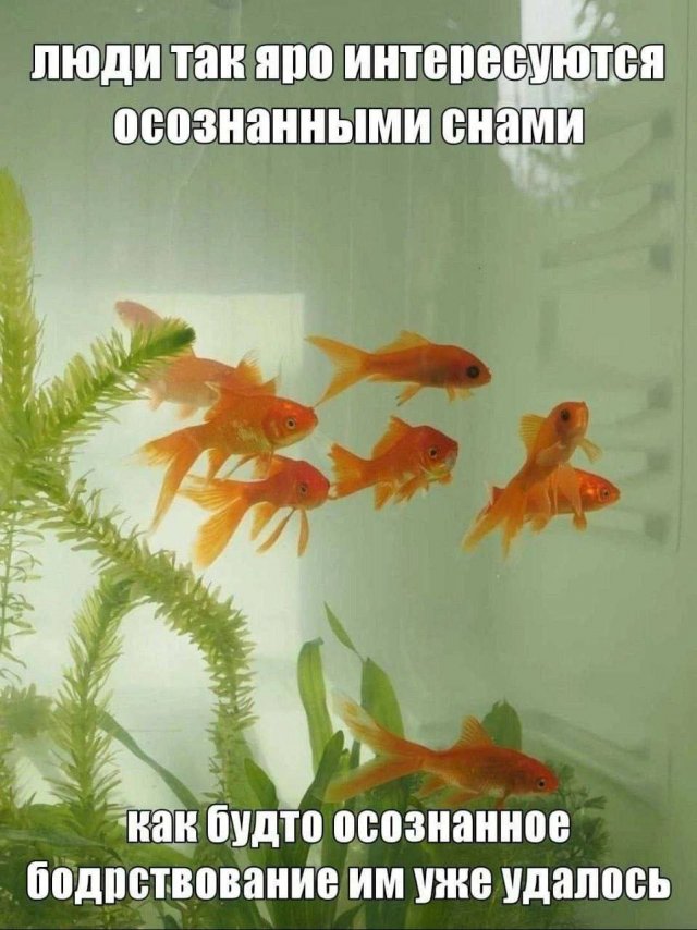 Лучшие шутки и мемы из Сети - 04.02.2026 (15 фото)