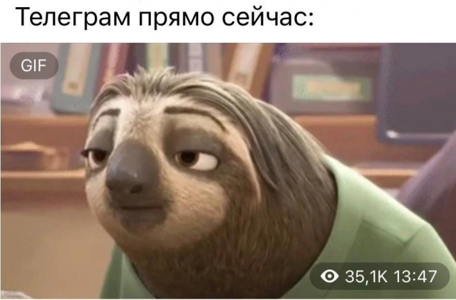 Лучшие шутки и мемы из про блокировку Телеграм в России Лучшие шутки и мемы из про блокировку Телеграм в России