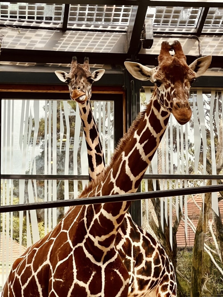 
        30&nbsp;снимков, запечатлевших простую красоту нашего мира    