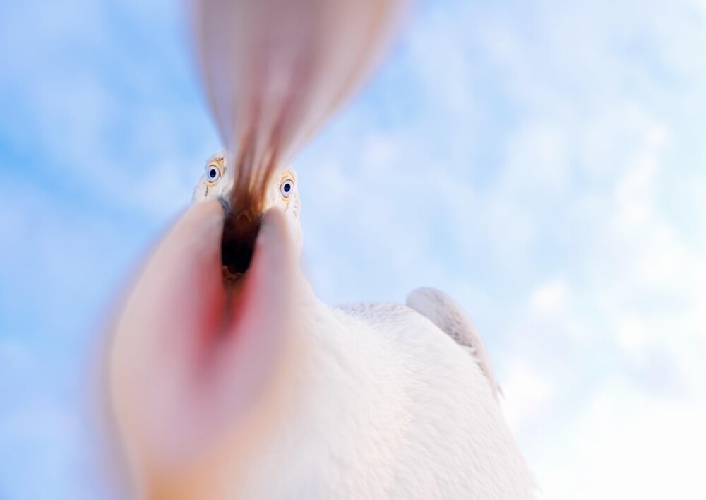 
        30&nbsp;фото, доказывающих, что&nbsp;чудо гораздо ближе, чем&nbsp;мы&nbsp;думаем    