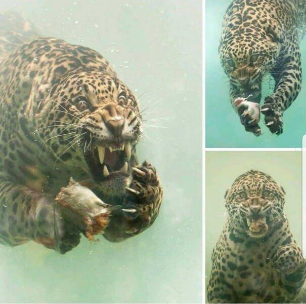 Подборка прикольных фото №3883