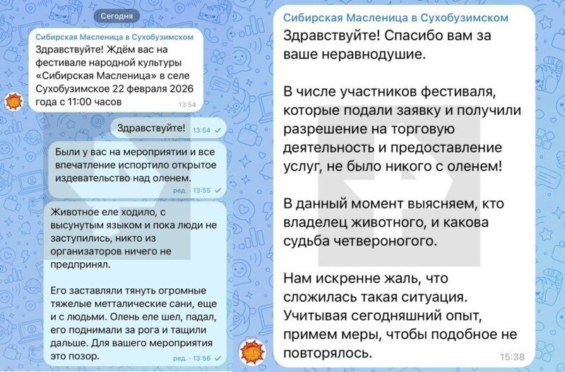 
        Измученный олень на&nbsp;ярмарке в&nbsp;Красноярском крае    