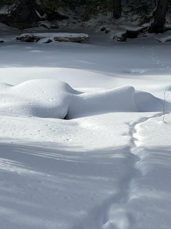 Подборка прикольных фото №3896
