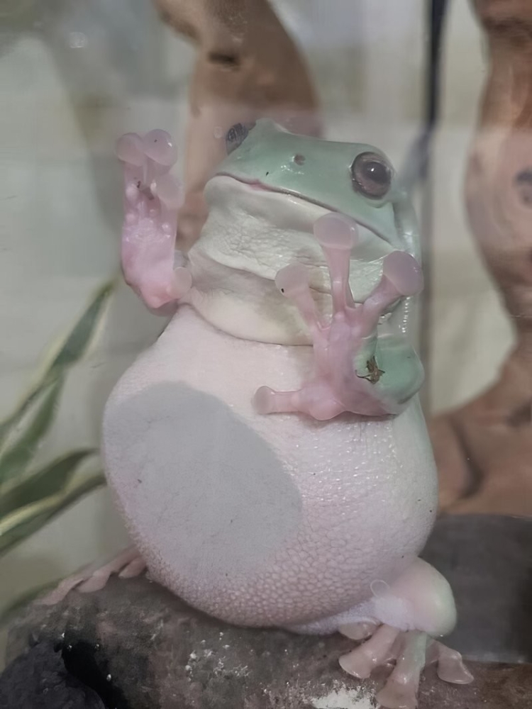 
        24&nbsp;примера милоты, дарящей позитив и&nbsp;чистое тихое счастье    