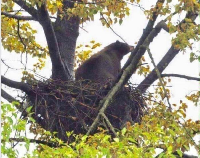 Подборка прикольных фото №3894