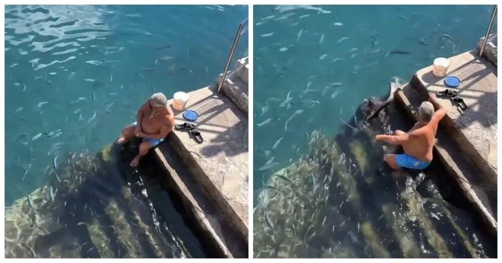 
        Мужчина подкармливает ската    