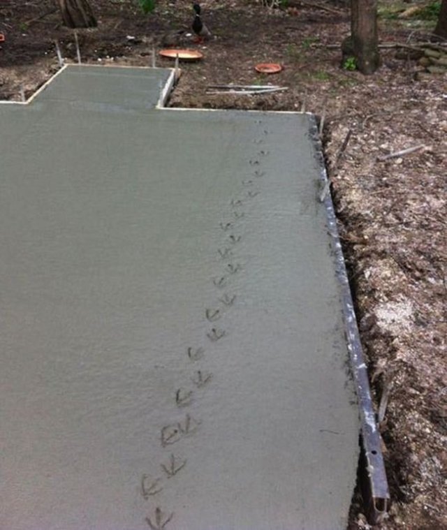 Неприятности случаются (21 фото)