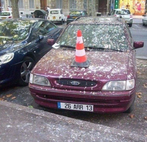 Неприятности случаются - 04.02.2026 (27 фото)