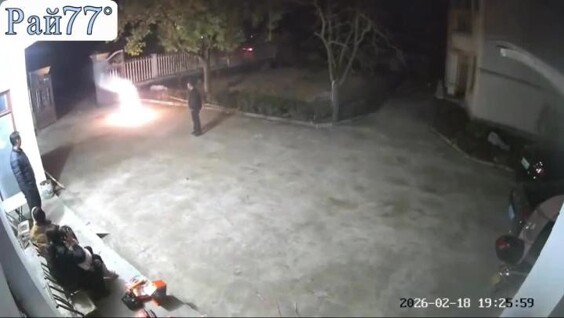 
        Собака неприятно удивила жителей китайского города    