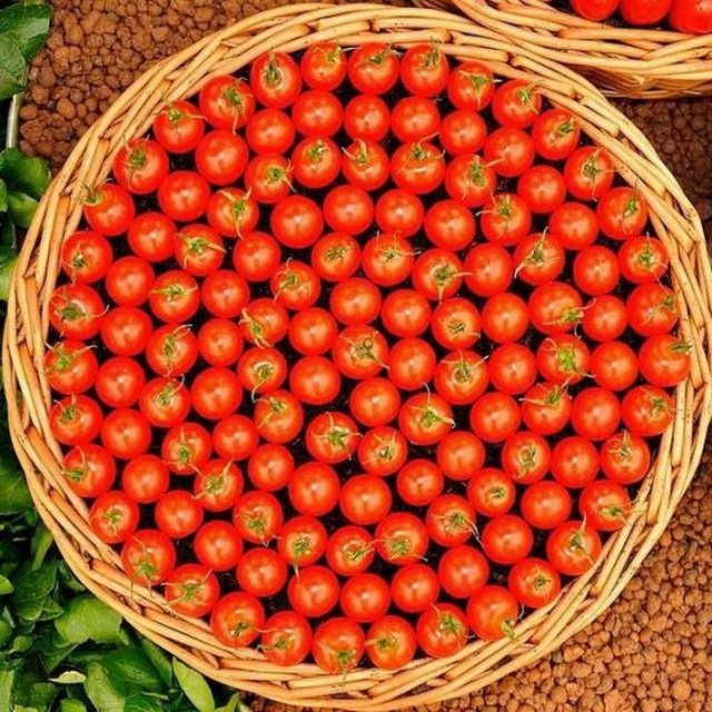 Подборка фотографий для перфекционистов (19 фото)