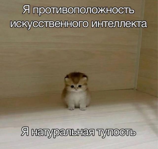 Лучшие шутки и мемы из Сети Лучшие шутки и мемы из Сети