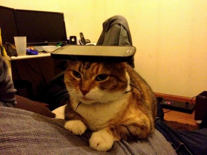 Подборка прикольных фото №3895