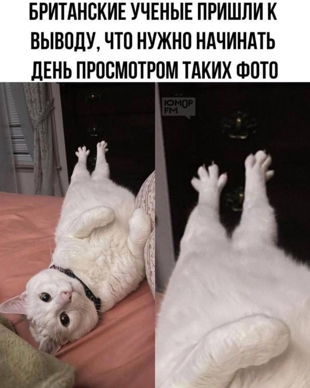 Подборка прикольных фото №3887