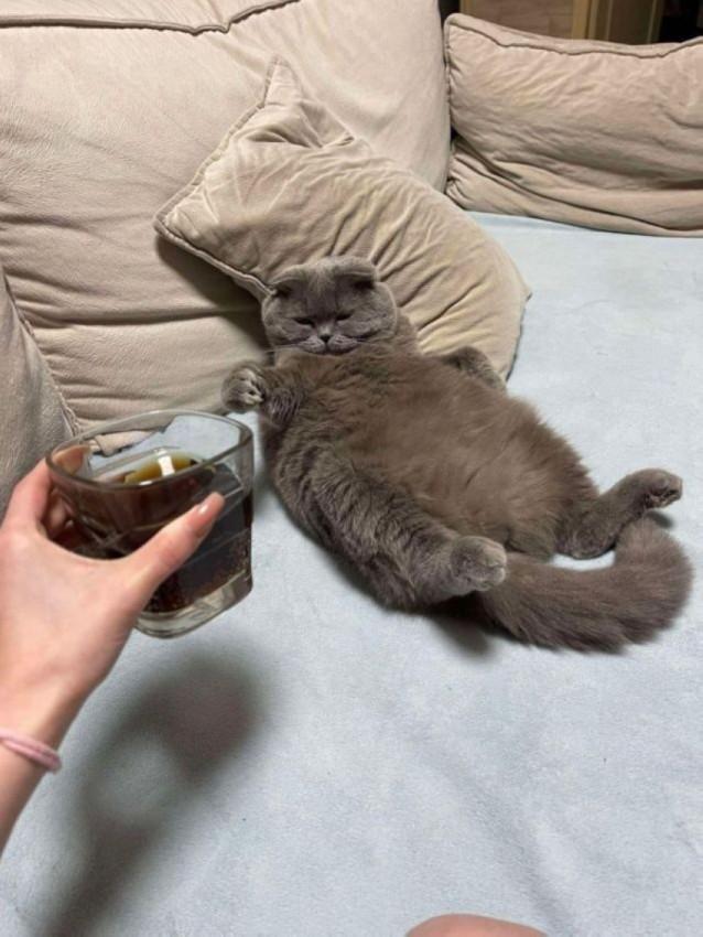 Подборка прикольных фото №3894