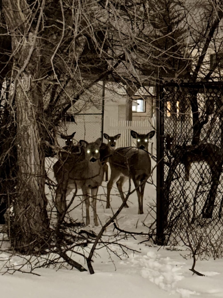 
        30&nbsp;фото, доказывающих, что&nbsp;чудо гораздо ближе, чем&nbsp;мы&nbsp;думаем    