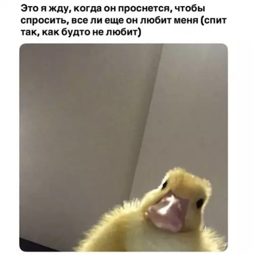 Мемы про девушек, мужчин и отношения