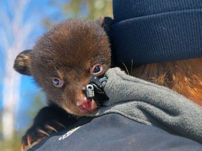 Подборка прикольных фото №3895