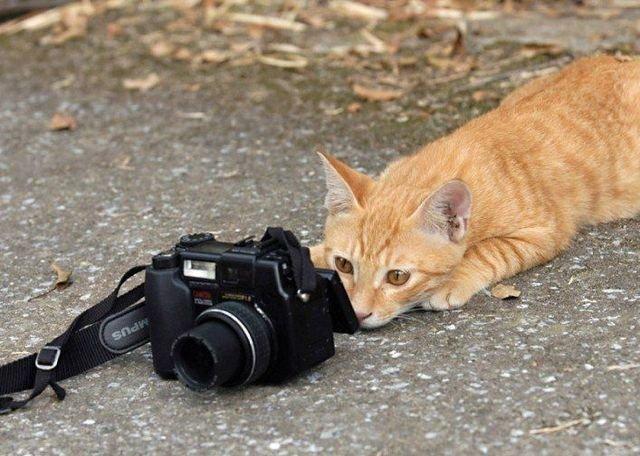 Подборка прикольных фото №3892