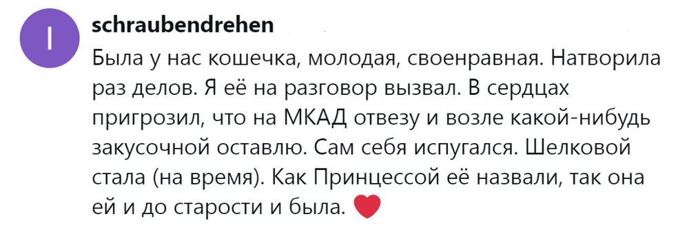 
        &laquo;Цыганам или&nbsp;в&nbsp;кошачий детдом&raquo;: пользователи назвали места, куда грозят отдать кота после переполнения чаши терпения    
